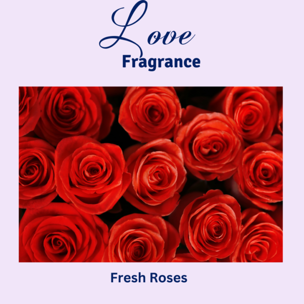 Love Intention Candle Fragrance: Roses